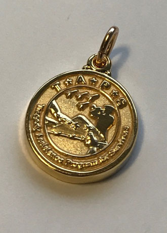 20k Gold Plated Taps Charm