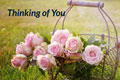 eCard for Tribute Donation - Thinking of You - International